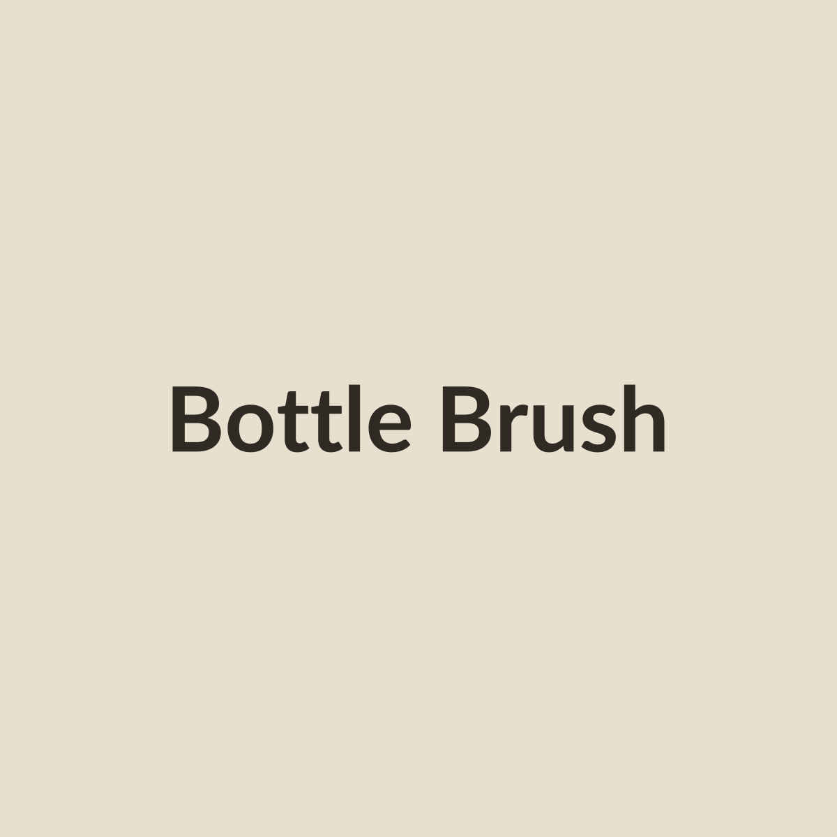 Wooden bottle brush placeholder image